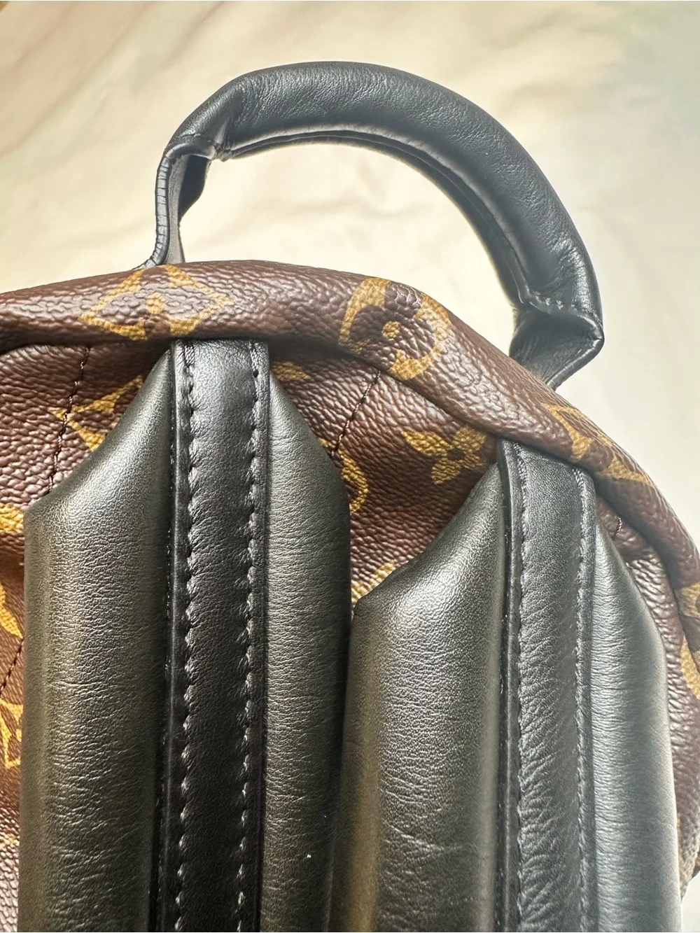 Louis Vuitton Palm Springs PM Backpack